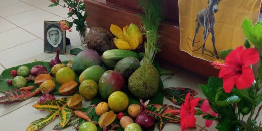 Integral ecology and spirituality