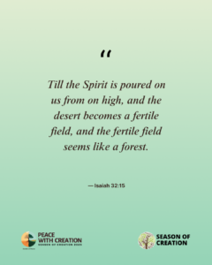 Season for Creation - quote